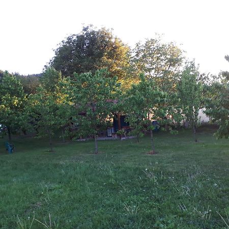 Casa Cionca ξενώνας Gilău Εξωτερικό φωτογραφία