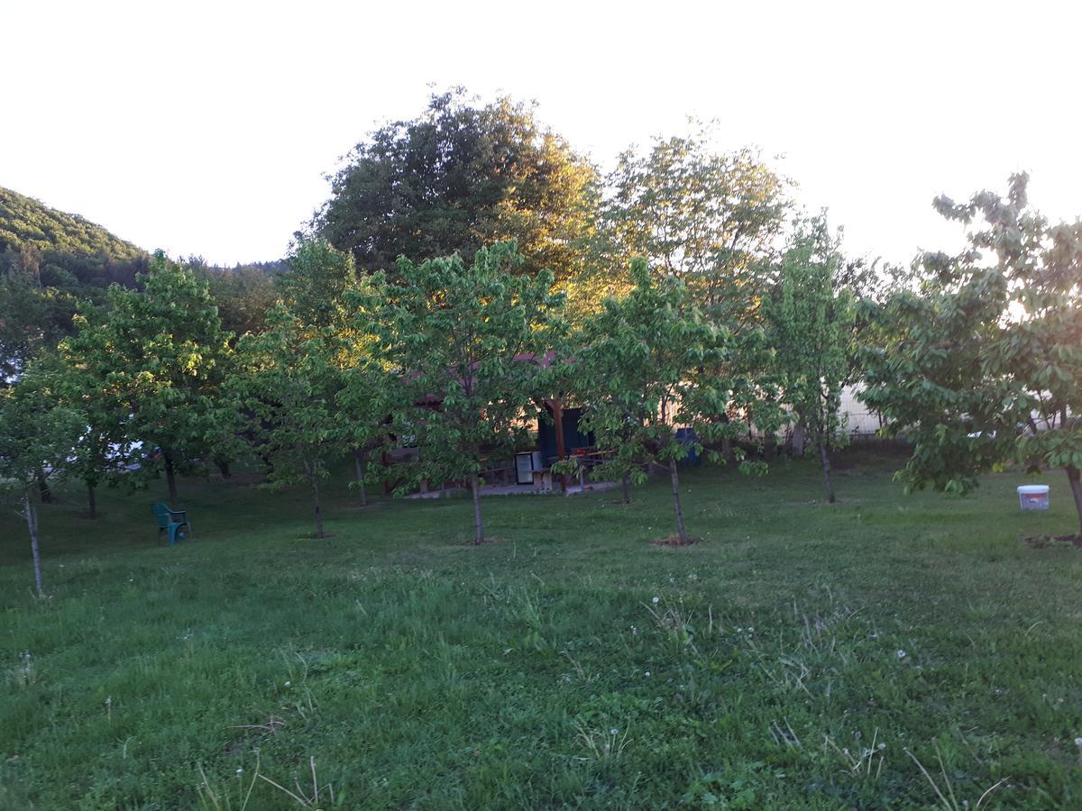 Casa Cionca ξενώνας Gilău Εξωτερικό φωτογραφία